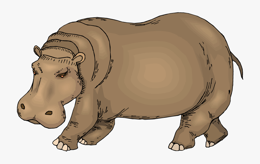 Transparent Hippopotamus Clipart - Hippo Clipart, HD Png Download