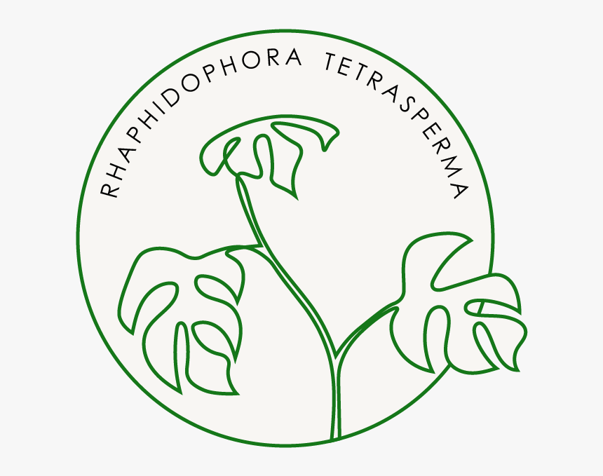 Dirtyroots Dirty Roots Berlin Dirtyrootsberlin Our - North Carolina Department Of Transportation, HD Png Download