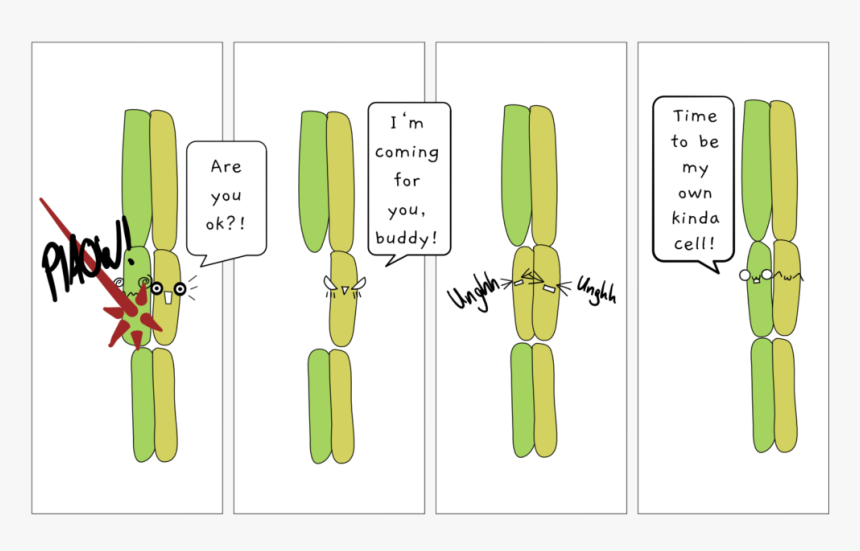 Illustration, HD Png Download