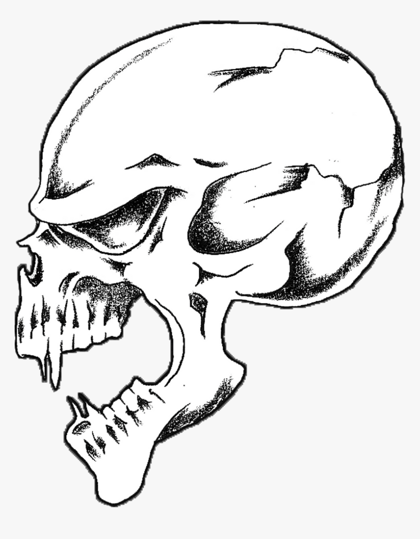 Skull, HD Png Download