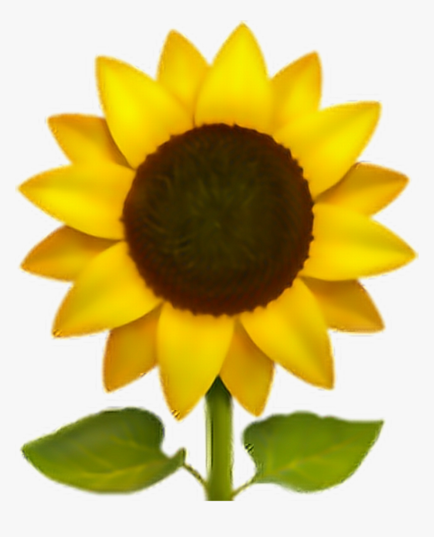 Transparent Sunflower Emoji, HD Png Download