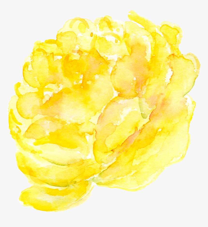 Yellow Peony Png, Transparent Png