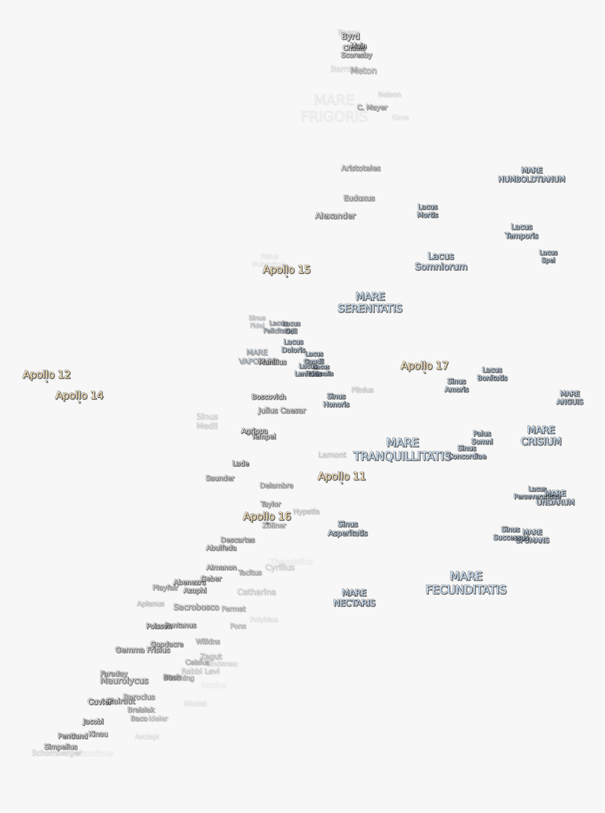 Christmas Tree, HD Png Download