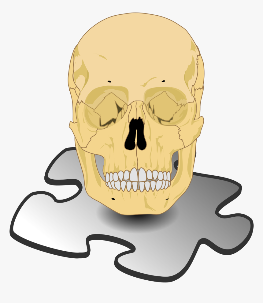 Clip Art Of Butterfly Gif, HD Png Download