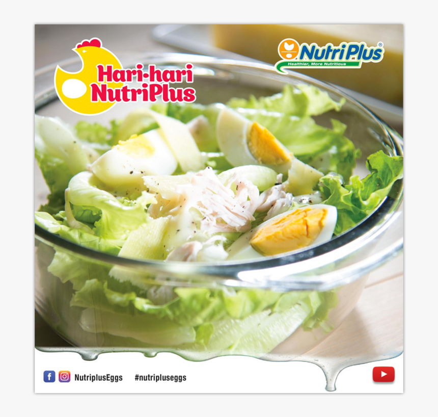 Head Of Lettuce Png, Transparent Png