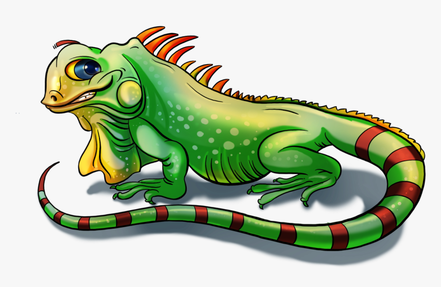 Posted By Chandrashekhar Sawarkar At - Green Iguana, HD Png Download