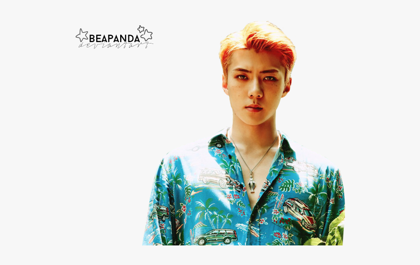 Exo The War Concept, HD Png Download