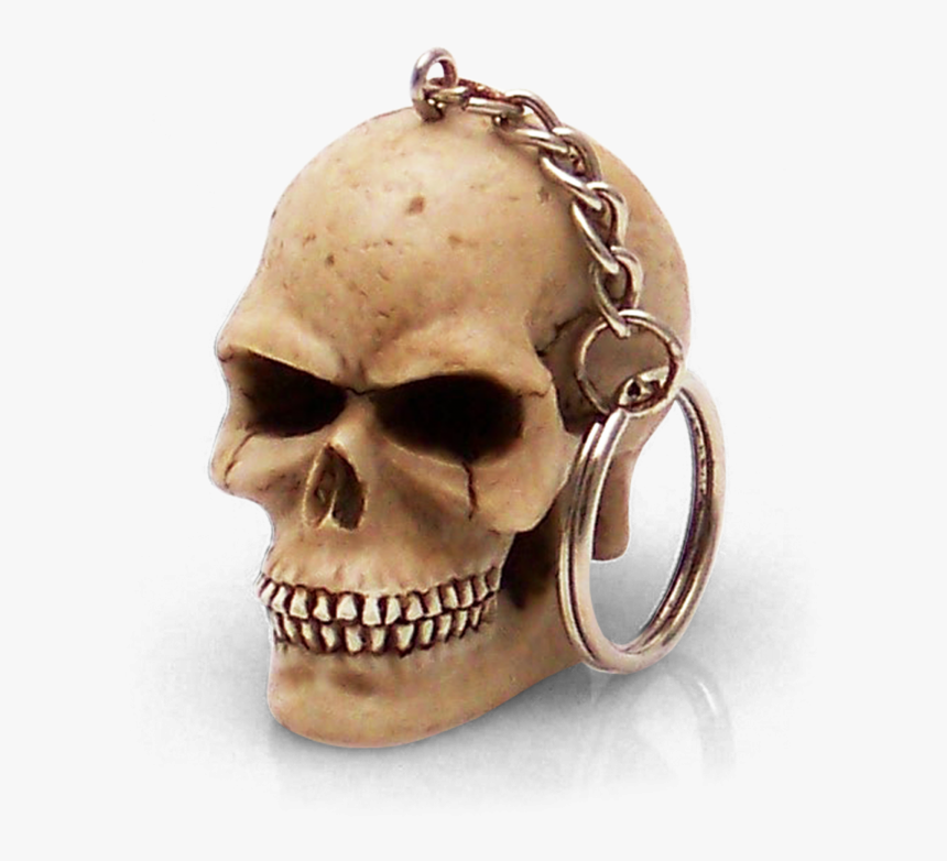 Skull, HD Png Download