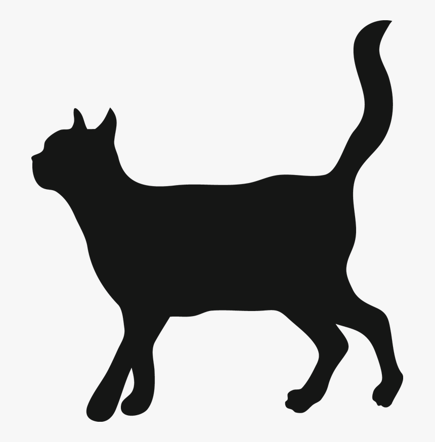 Cat Walking Clipart Banner Transparent Stock Cat Walking - Vet Çizmeli Kedi Cekmekoy, HD Png Download