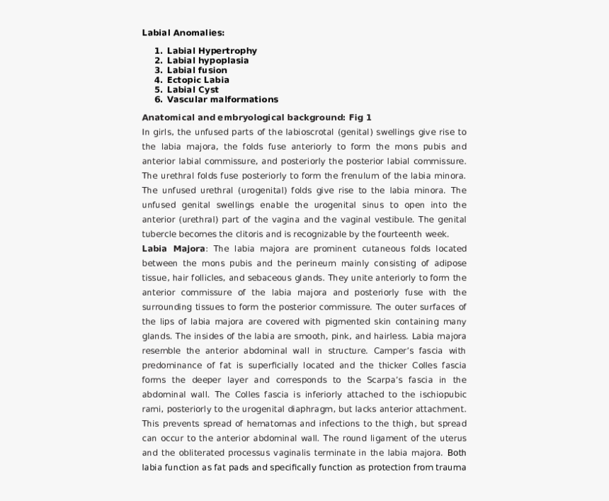 Document, HD Png Download