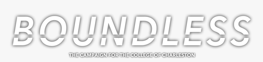 The Campaign For The College Of Charleston - Pixels, HD Png Download