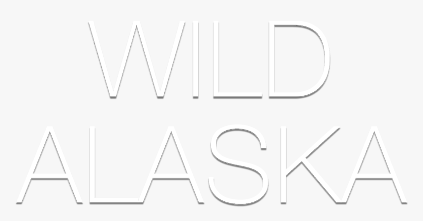 Wild Alaska - Brighton Hove & Sussex Sixth Form College, HD Png Download
