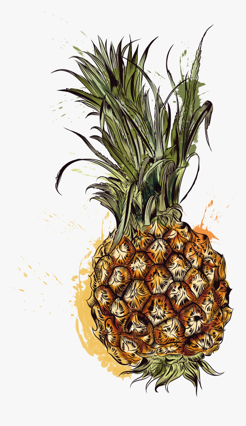 Pineapple Tropic Fruits - Vector Graphics, HD Png Download
