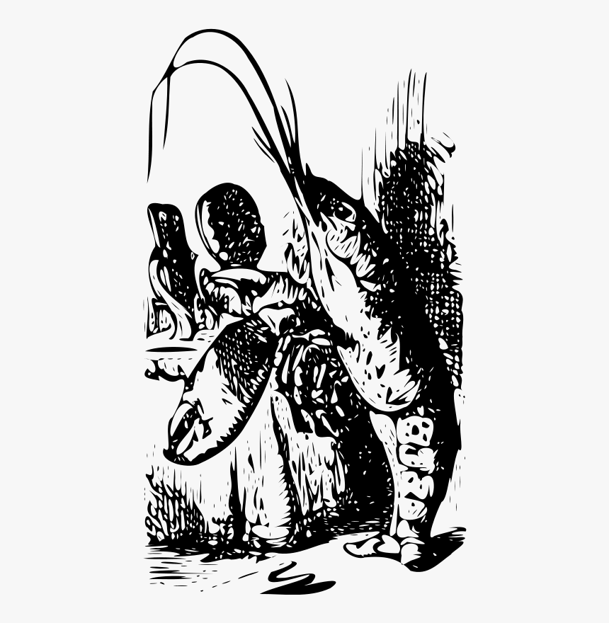 Alice's Adventures In Wonderland, HD Png Download