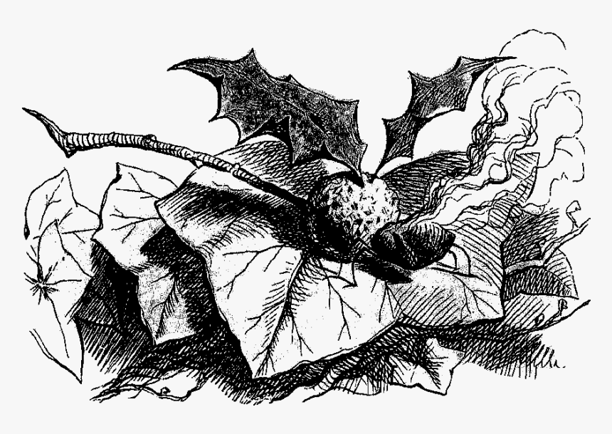 Snapdragon Fly, HD Png Download