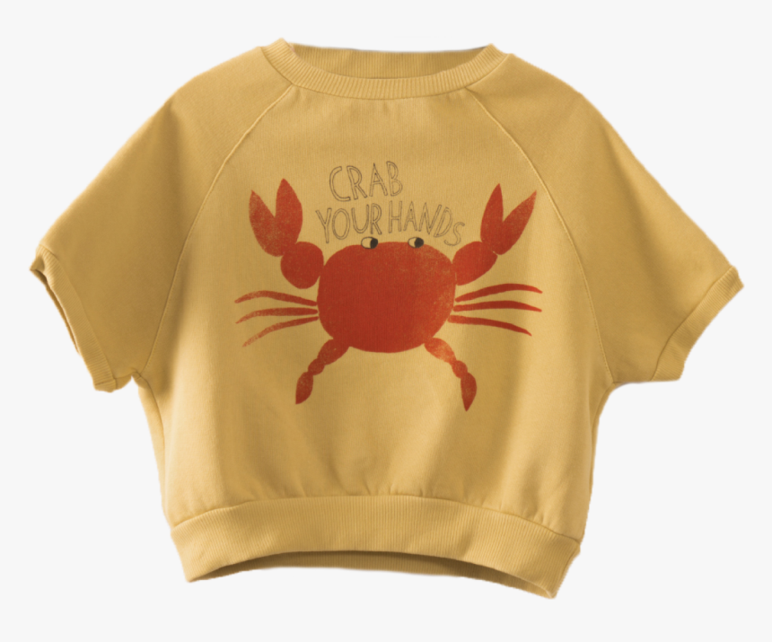 Christmas Island Red Crab, HD Png Download