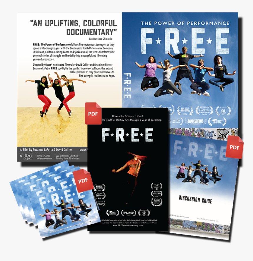 Screening Dvd License Digital Toolkit W Pdf Logos , - Flyer, HD Png Download