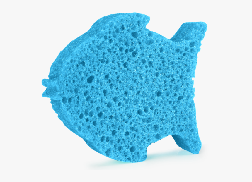 Sponge Fish, HD Png Download