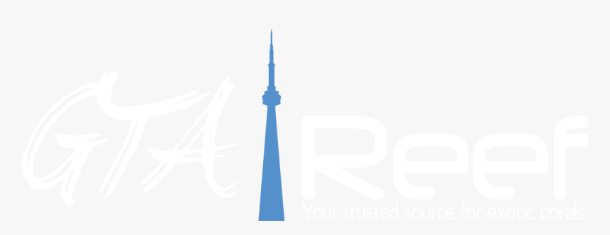 Gta Reef - Graphic Design, HD Png Download