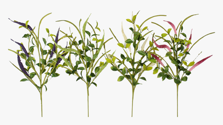 Grass, HD Png Download