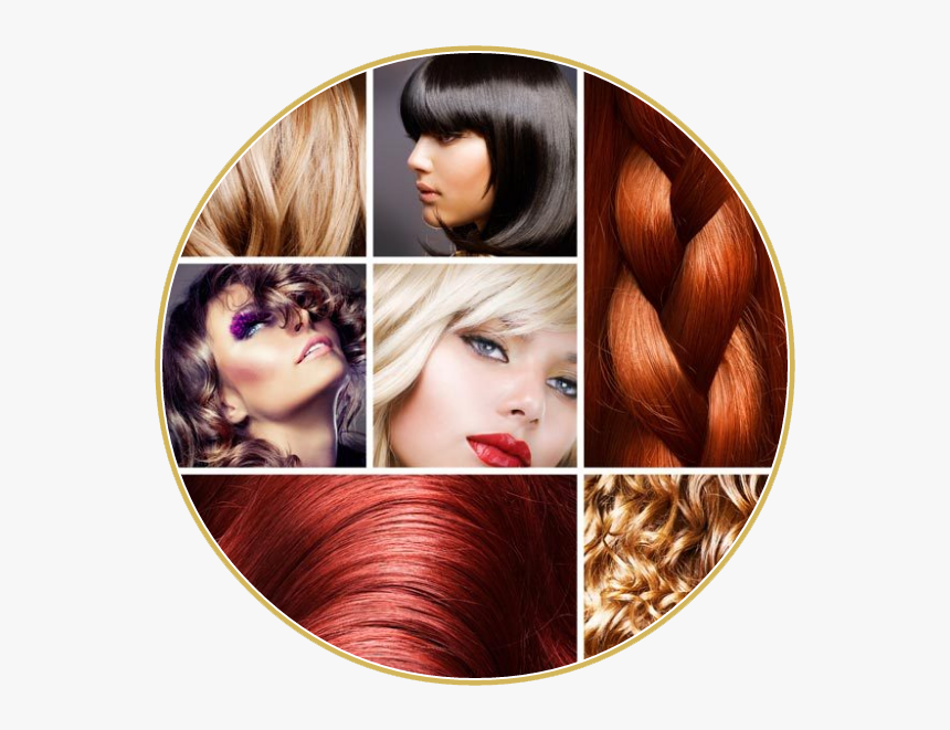 Différentes Couleurs De Cheveux, HD Png Download