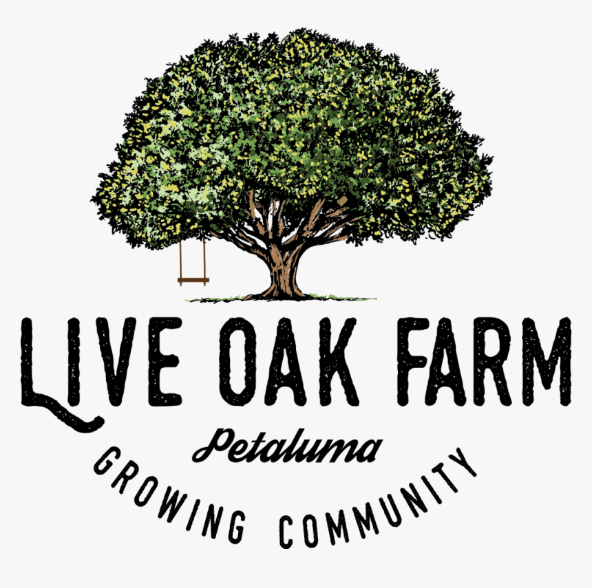 Live Oak Farm Growing Color - Text, HD Png Download