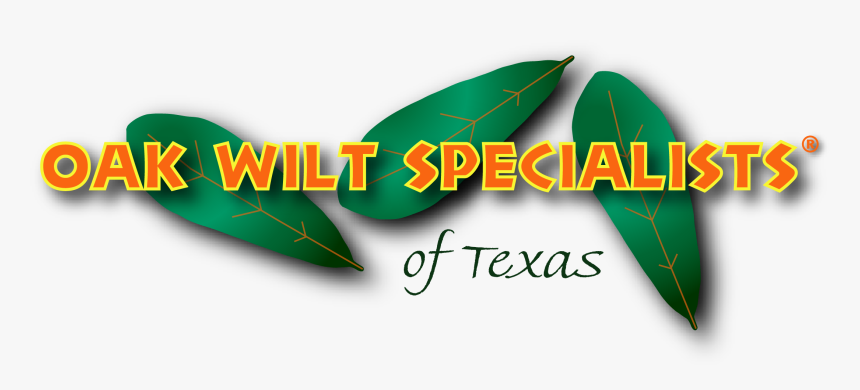 Oak Wilt Specialists Of Texas Log - Graphic Design, HD Png Download