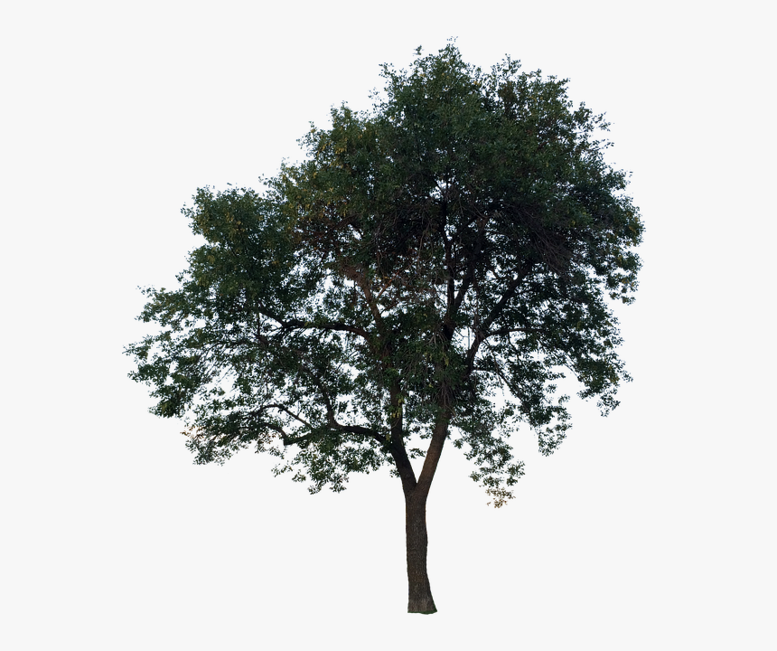 Plane, HD Png Download