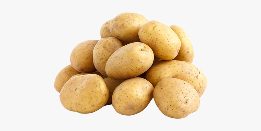My Favorite Vegetable Is Potato, HD Png Download