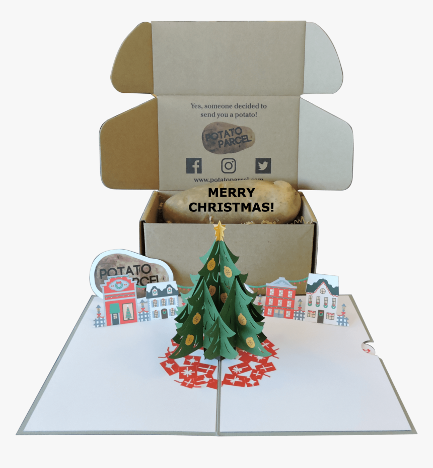 Christmas Tree, HD Png Download