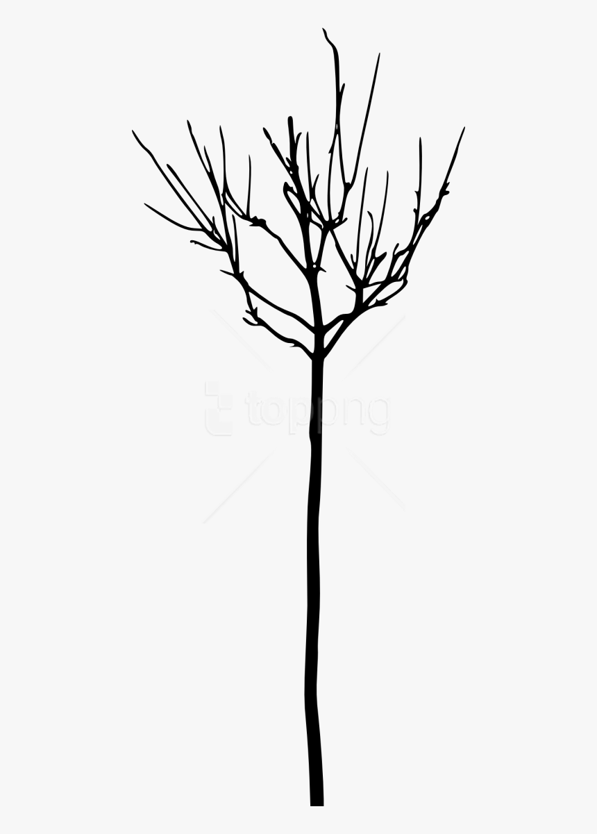 Free Png Simple Bare Tree Silhouette Png Images Transparent - Tree, Png Download