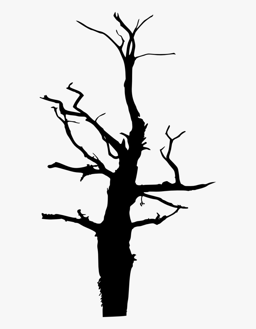 Twig Silhouette Black And White Clip Art - Silhouette, HD Png Download