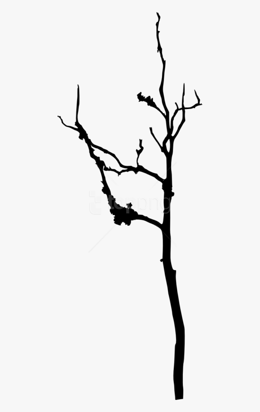 Free Png Bare Tree Silhouette Png Images Transparent - Silhouette, Png Download