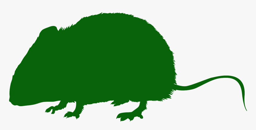 Clip Art, HD Png Download