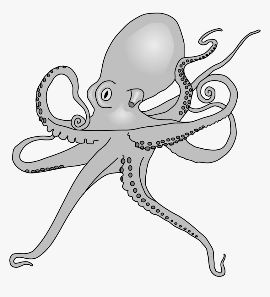 Fileoctopus Drawing - Octopus Sp, HD Png Download