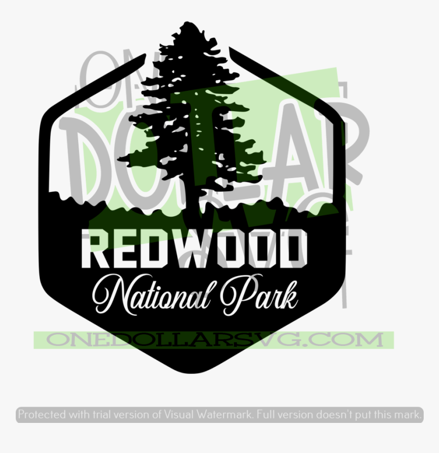 Christmas Tree, HD Png Download