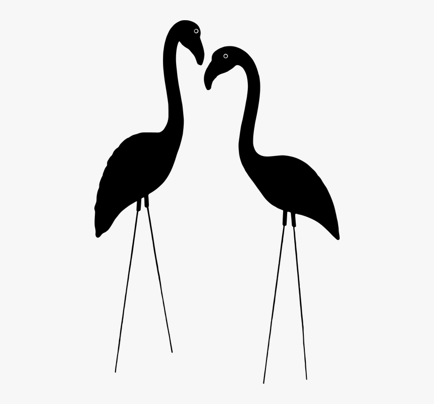Plastic Flamingo, HD Png Download