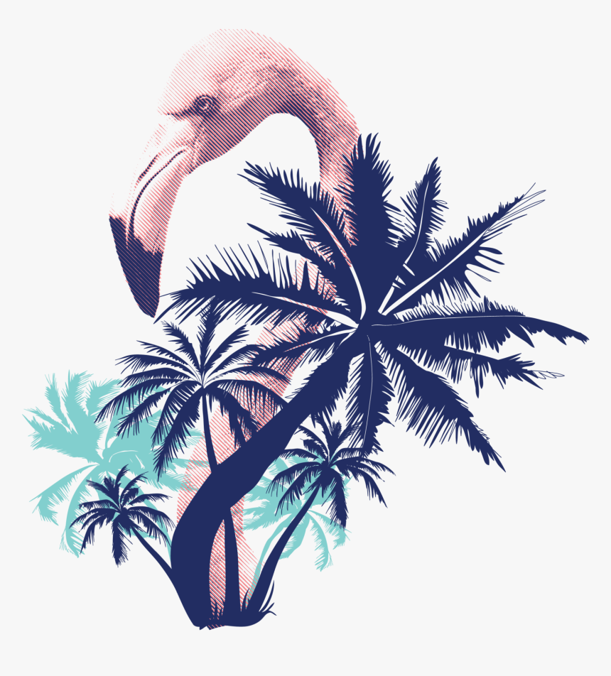 T-shirt, HD Png Download