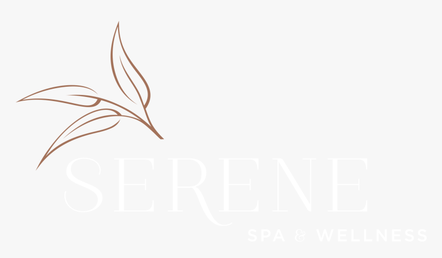 Title Border 0 Width, HD Png Download