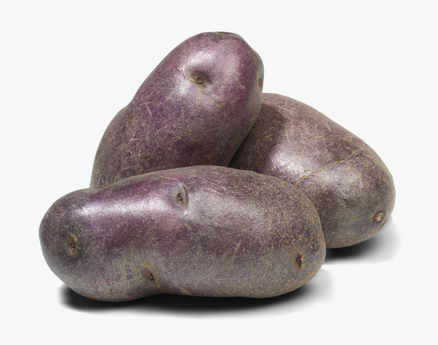 Pommes De Terre Violettes - Fingerling Potato, HD Png Download