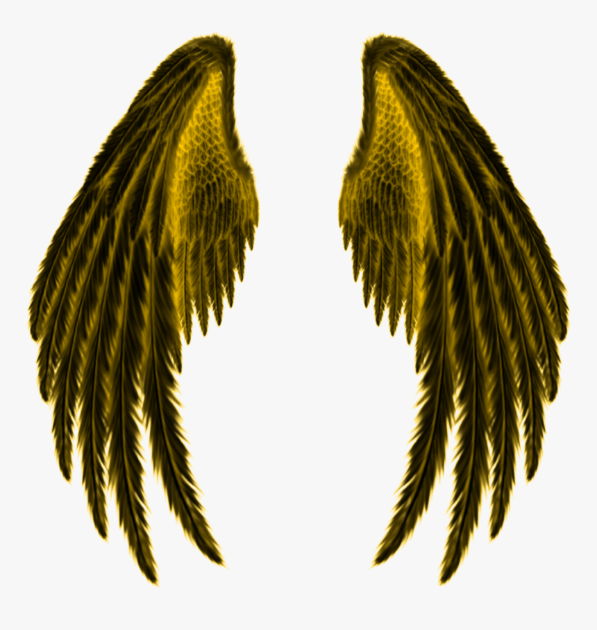 #golden #wings - Illustration, HD Png Download