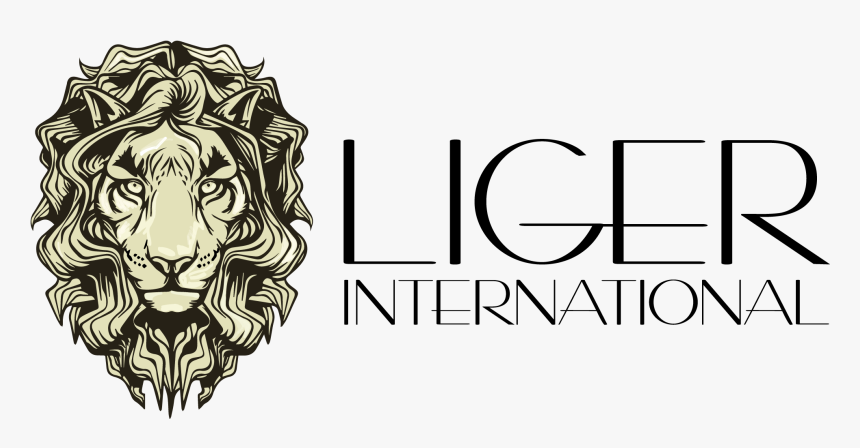 Graphic Design, HD Png Download