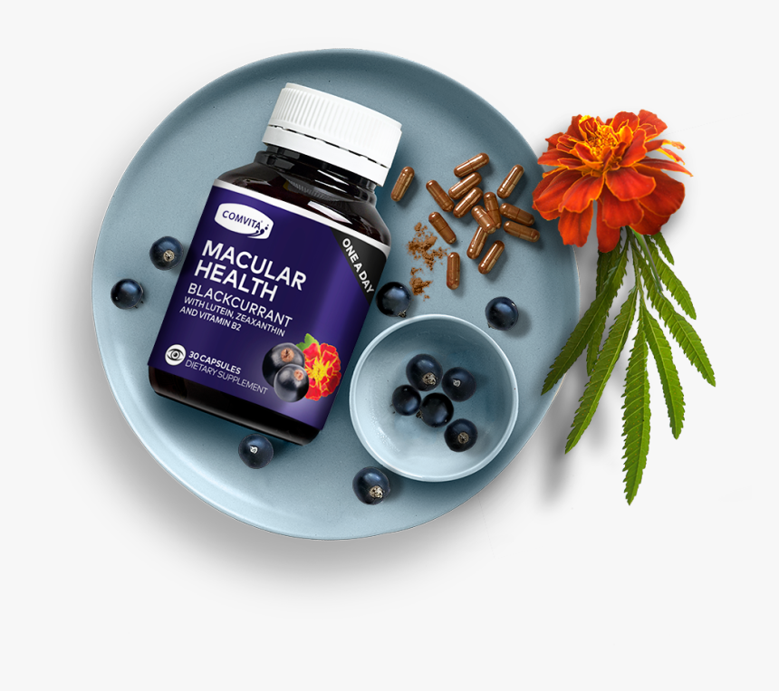 Macular Homepage-parallax Top 2 - Tagetes Patula, HD Png Download