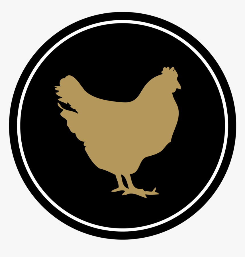 Medallions-black3, HD Png Download