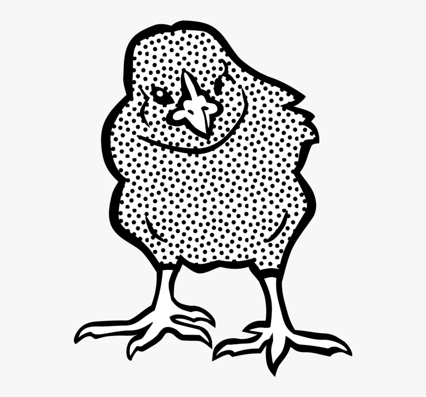 Chicken Computer Icons Line Art Kifaranga Drawing Cc0 - Chicken, HD Png Download