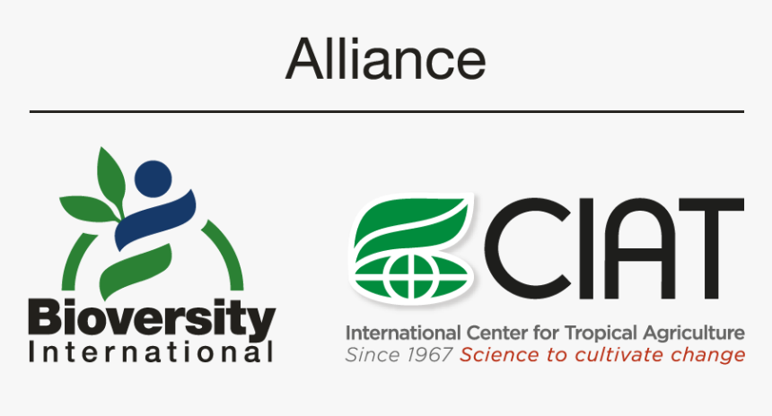 Ciat Bioversity Alliance Logo, HD Png Download