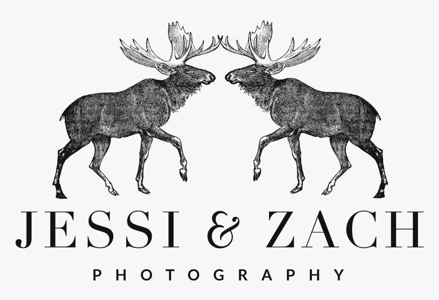 Moose X Moose - Organisation For Economic Co-operation And Development, HD Png Download