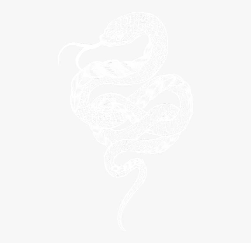 Monty-hosts - 해리포터 어둠 의 표식, HD Png Download