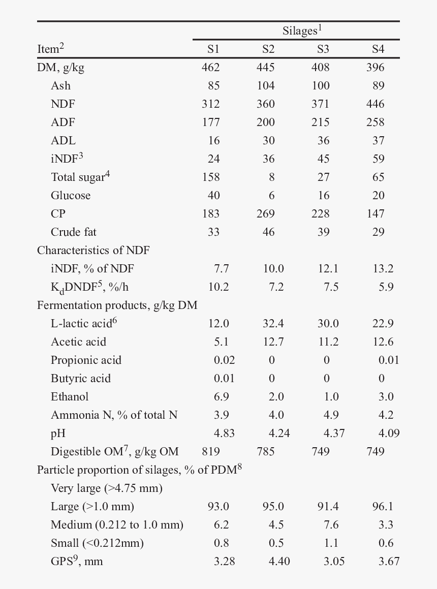 White Clover Grass Composition, HD Png Download
