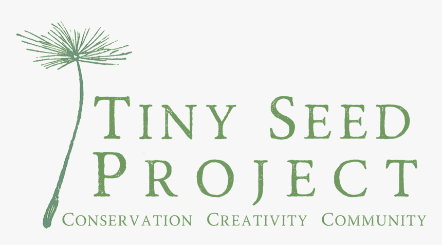 Saw Palmetto, HD Png Download